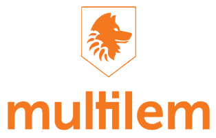 Multilem